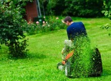 Kwikfynd Lawn Mowing
moolerr